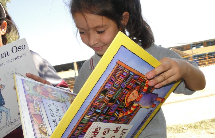 Estudiantes de Enseñanza Básica leyendo en la biblioteca CRA